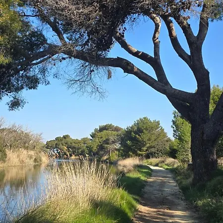 Cocon Du 4 Couchages 500m A Pied Des Plages Διαμέρισμα